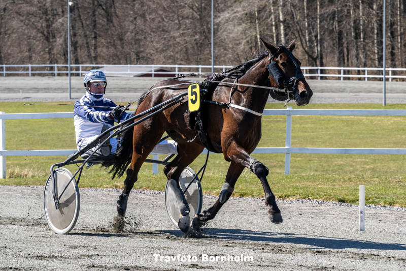 Luca med Martin Sj holm Jensen 11 april 2026 Fotograf Torben Ager Travfoto Bornholm TKA 9184 1