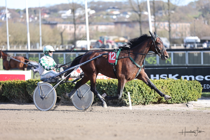 Showman 6578 1