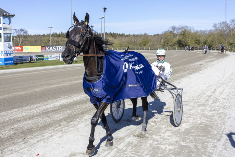 ingmar banker 3 1