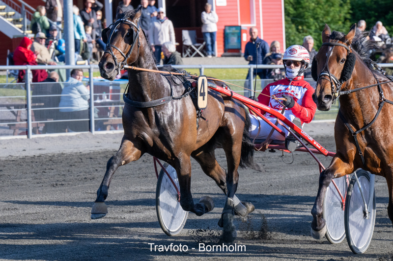 Kissed By Rain med Mads Petersen 12 juni 2024 Fotograf Torben Ager Travfoto Bornholm TKA 2138