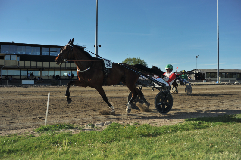 Ludvig Cash 260528