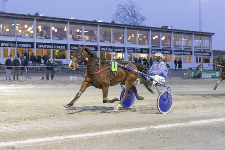 gigant toft 3 1