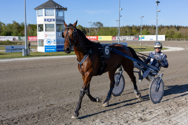 kima kyvsga rd 3