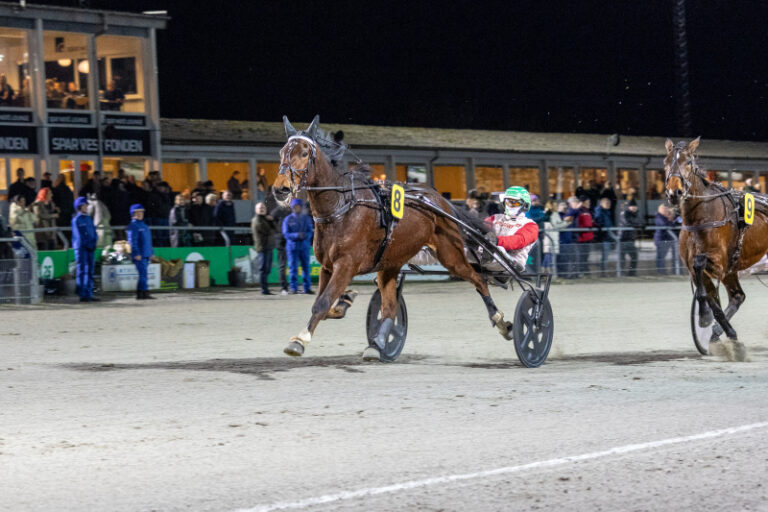 ludvig cash