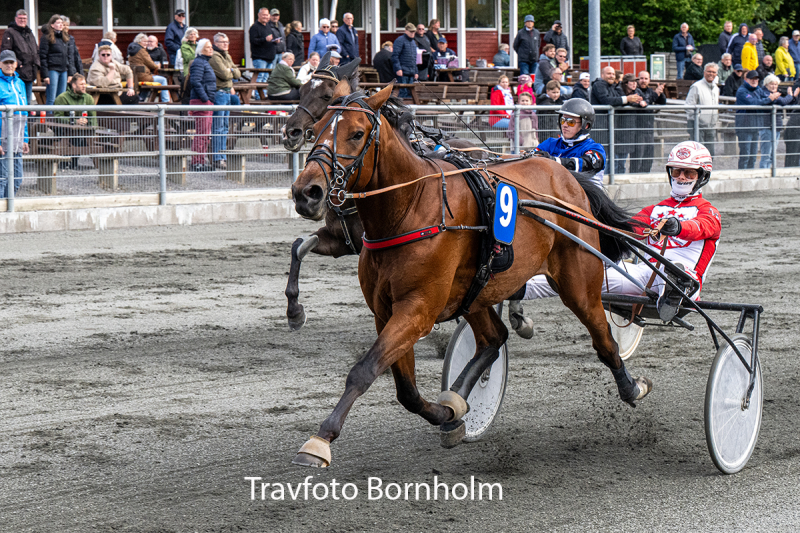 Boston med Mads Petersen 16 juni 2026 Fotograf Torben Ager Travfoto Bornholm TKA 5504
