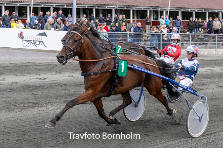Cerosso med Niclas Steinlain 16 juni 2026 Fotograf Torben Ager Travfoto Bornholm TKA 5595 1