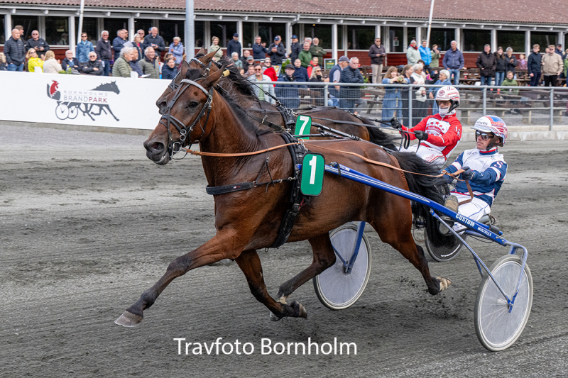Cerosso med Niclas Steinlain 16 juni 2026 Fotograf Torben Ager Travfoto Bornholm TKA 5595