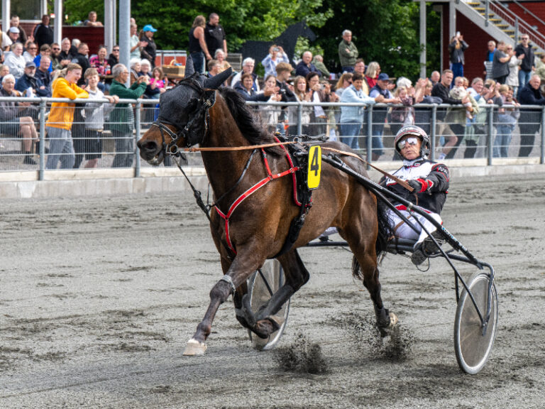 Hazard Hjortshoej med Niels Kristian Hansen 5 juni 2026 Fotograf Torben Ager Travfoto Bornholm TKA 4533 800x600 1 1