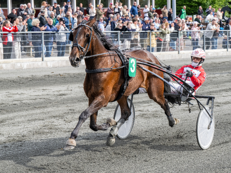 Kenzo River med Mads Petersen 5 juni 2026 Fotograf Torben Ager Travfoto Bornholm TKA 4693 800x600 2