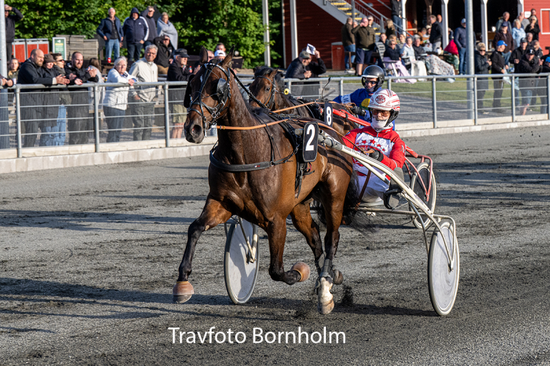 Kissed By Rain med Mads Petersen 16 juni 2026 Fotograf Torben Ager Travfoto Bornholm TKA 5722