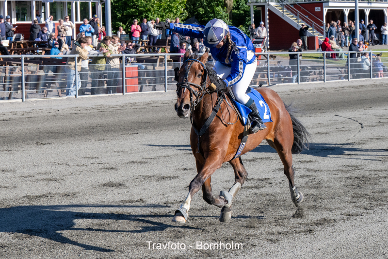 Winston E M med Michala Haagensen 12 juni 2024 Fotograf Torben Ager Travfoto Bornholm TKA 2119
