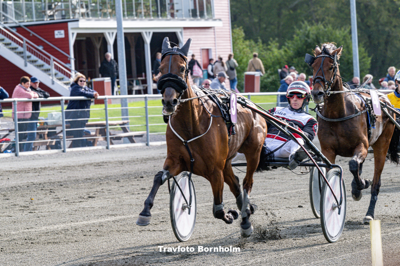 Apollo Damga rd med Niels Kristian Hansen Bornholms Brand Park 30 september 2023 Fotograf Torben Ager Travfoto Bornholm TKA 0032 1