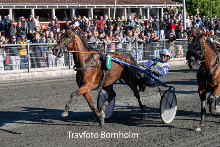 Cerosso med Niclas Steinlain 7 juli 2026 Fotograf Torben Ager Travfoto Bornholm TKA 8106