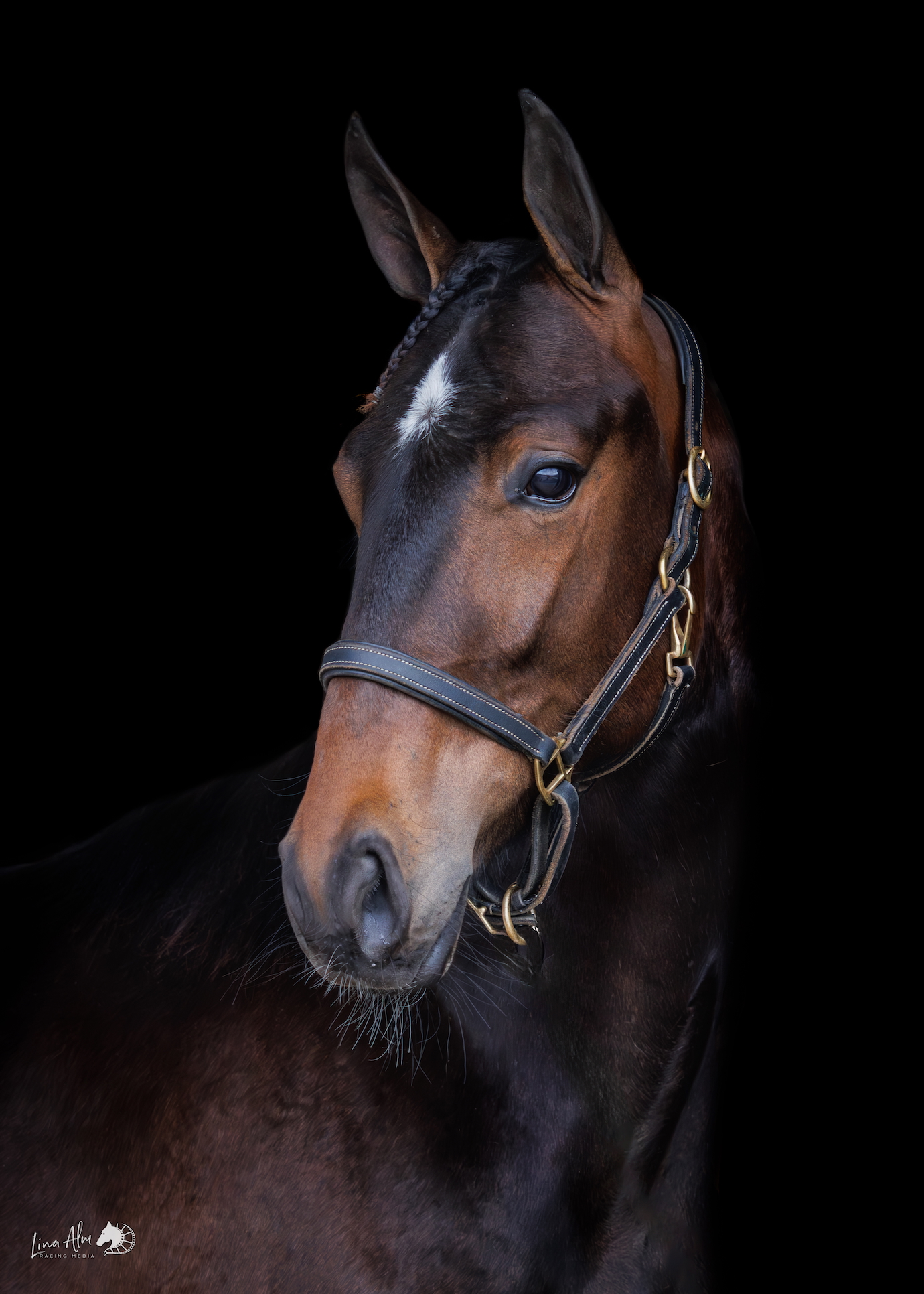 91 Sphinx Boko huvud web