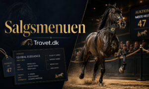 SALGSMENUEN 2