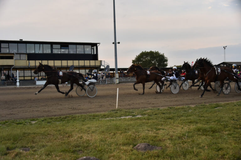 St hlebos King 260820
