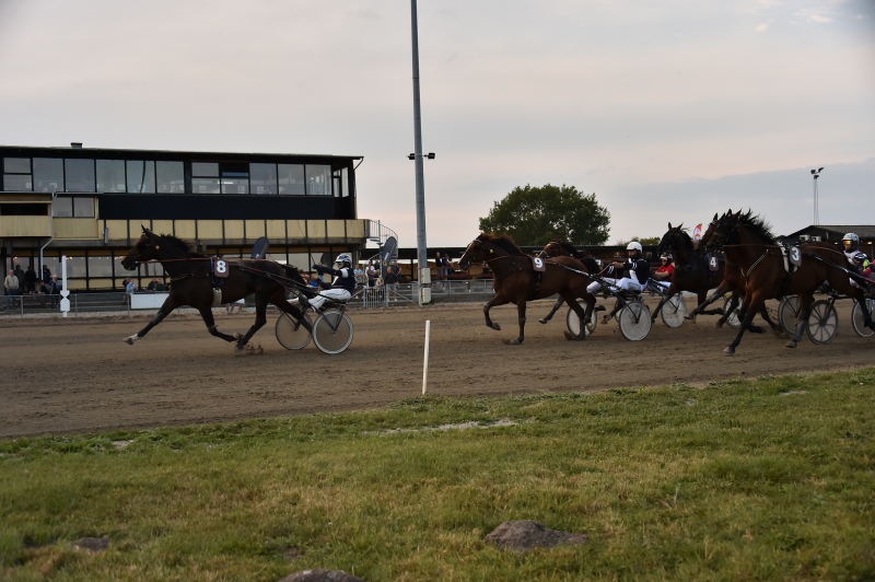St hlebos King 260820