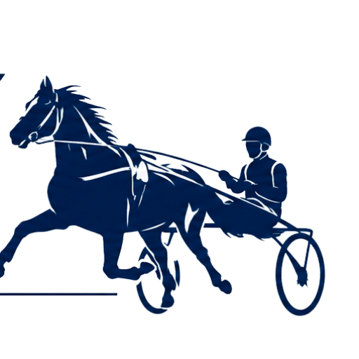 cropped travetdk logo 2026
