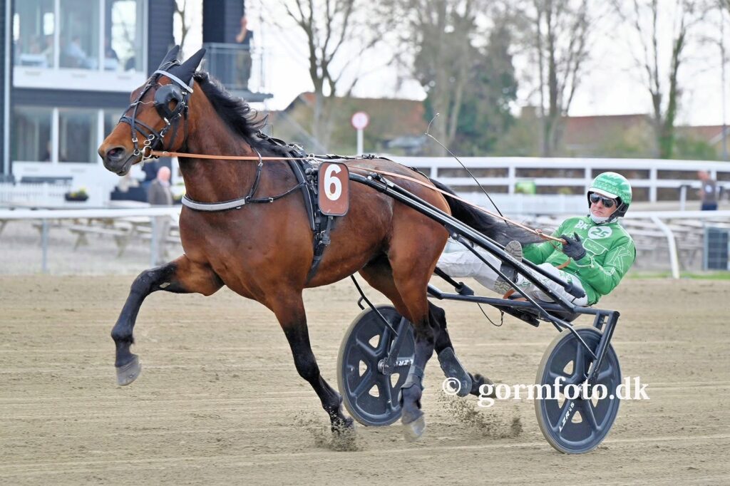672688970 931462003056467 211236209255649567 n