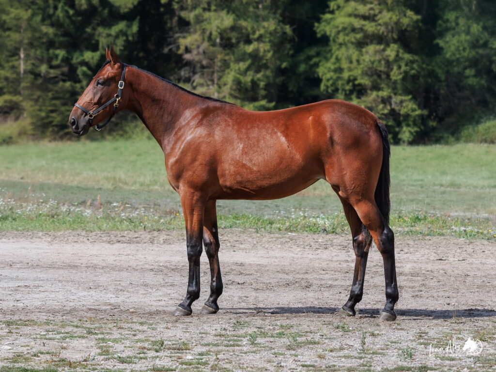 85 Thalissa Boko sida web