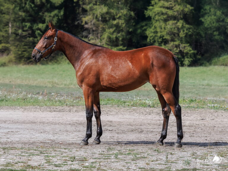 85 Thalissa Boko sida web