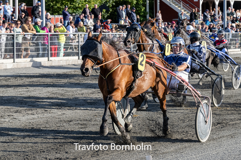 Baron Revenue med Martin Sj holm Jensen 1 september 2026 Fotograf Torben Ager Travfoto Bornholm TKA 3115