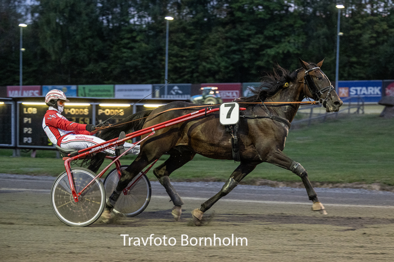 Bold Request med Mads Petersen 8 september 2026 Fotograf Torben Ager Travfoto Bornholm TKA 3741