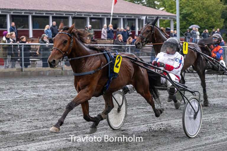 Brave Sensation med Christian K Hansen 26 september 2026 Fotograf Torben Ager Travfoto Bornholm TKA 4307
