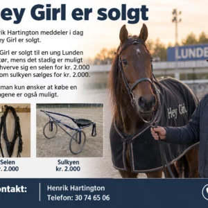 September måneds tilbud - Sulky og komplet sele