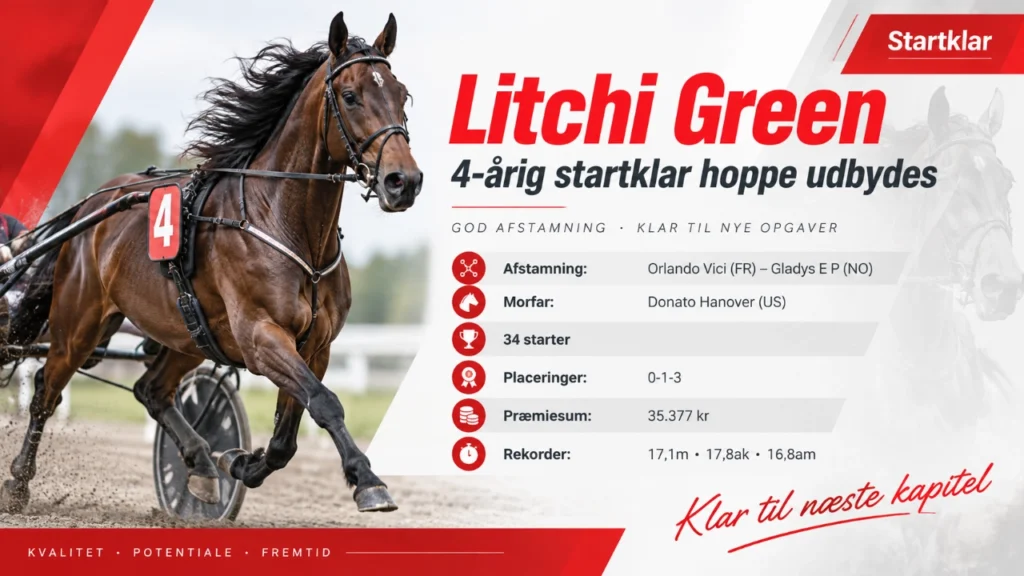 ChatGPT billede 27. sep. 2026 14.41.32 1280x720 1