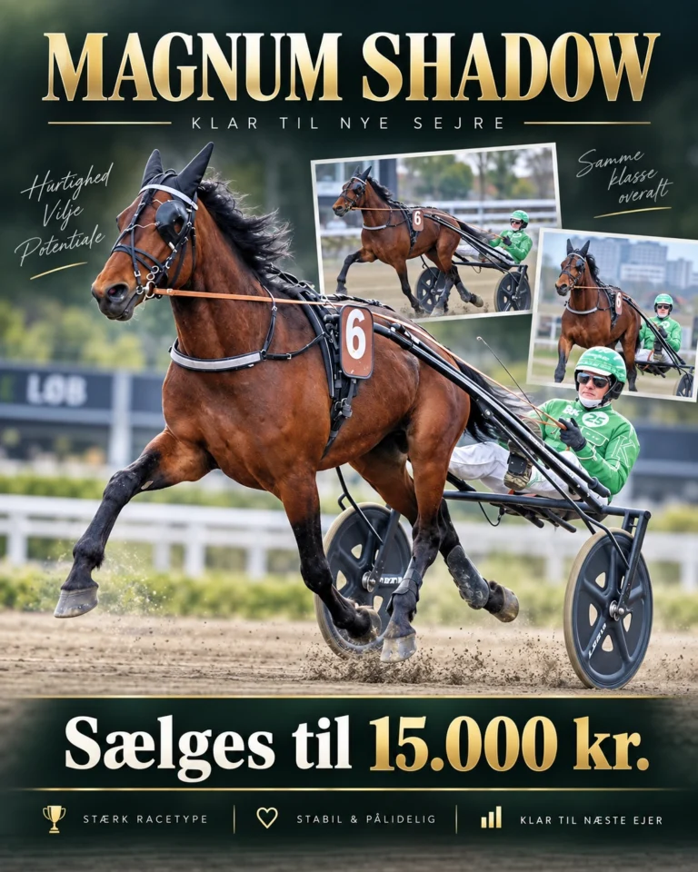 ChatGPT billede 28. sep. 2026 20.06.27 1122x1402 1