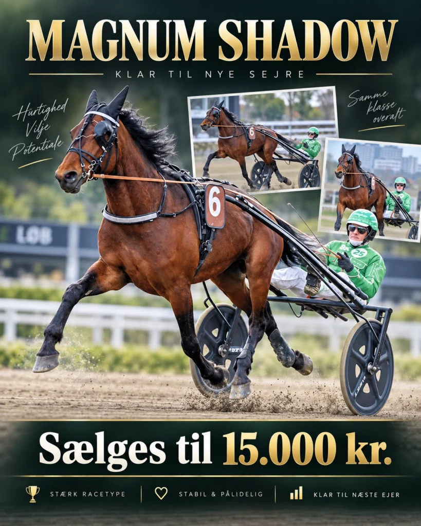 ChatGPT billede 28. sep. 2026 20.06.27 1122x1402 1