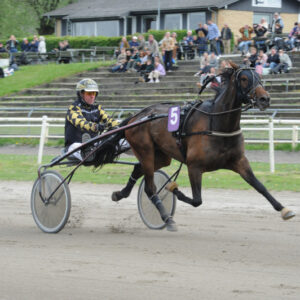 Henrik C