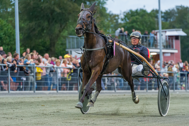Global Tingh j med Stefan Lind holm Bornholms Brand Park 30 Juli 2019 Fotograf Torben Ager Travfoto Bornholm TKA 9856