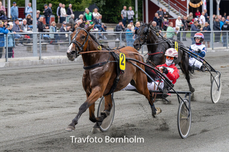 Hejdi Hovmand med Mads Petersen 8 september 2026 Fotograf Torben Ager Travfoto Bornholm TKA 3559