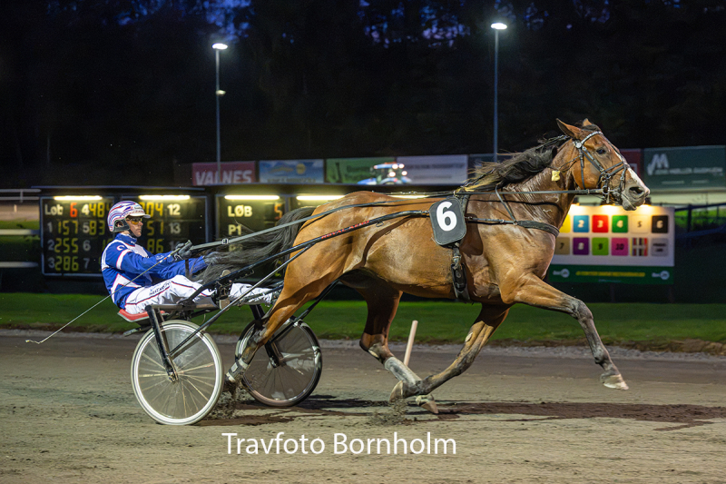 Hejdi Hovmand med Niclas Steinlain 15 september 2026 Fotograf Torben Ager Travfoto Bornholm TKA 4192