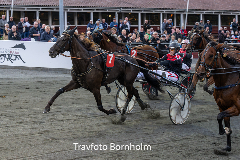 Hotspot Shadow med Oliver Gommans 8 september 2026 Fotograf Torben Ager Travfoto Bornholm TKA 3639