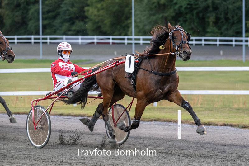 Keep Winning med Mads Petersen 1 september 2026 Fotograf Torben Ager Travfoto Bornholm TKA 3334