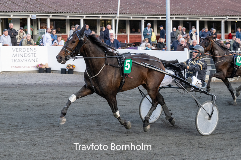 Leander Baunely med Kim Mortensen 1 september 2026 Fotograf Torben Ager Travfoto Bornholm TKA 3285