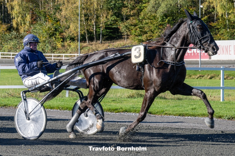 Lodvig Baunely med Kenn Str by 19 oktober 2025 Fotograf Torben Ager Travfoto Bornholm TKA 3588 800x533 1