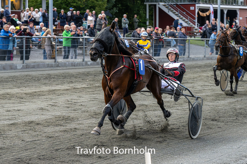 Lovely Gold med Niels Kristian Hansen 8 september 2026 Fotograf Torben Ager Travfoto Bornholm TKA 3593