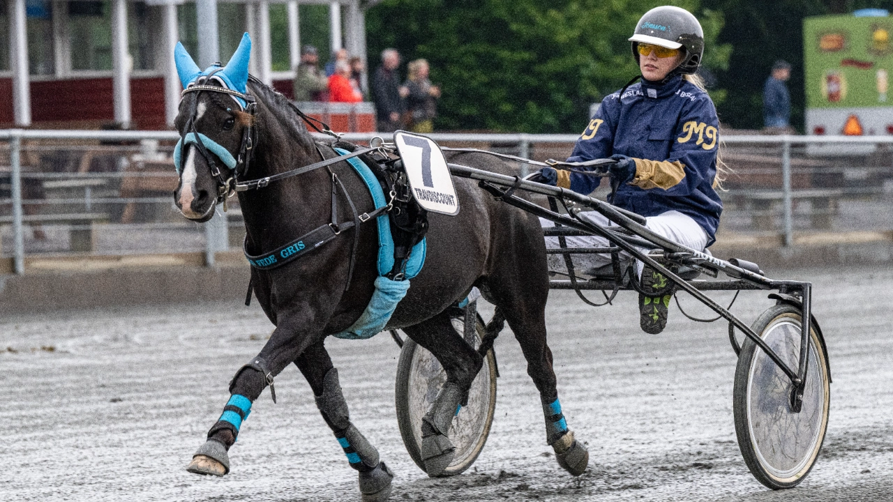 Oestrupslunds Jason med Mathea Jonsson 10 juni 2025 Fotograf Torben Ager Travfoto Bornholm TKA 1941 1280x720 1