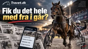fIK DU DET HELE MED