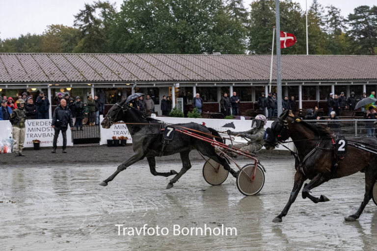 Bold Request med Niclas Steinlain 17 oktober 2026 Fotograf Torben Ager Travfoto Bornholm TKA 6187