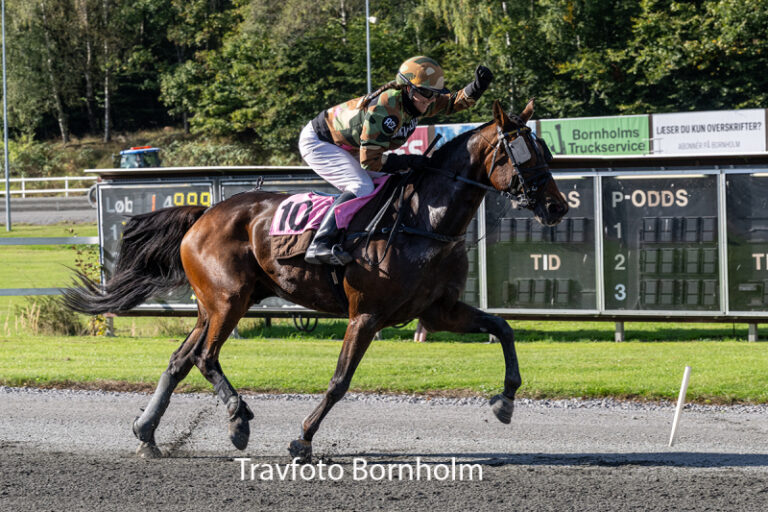 Bonny Boy med Annika Schou lund 3 oktober 2026 Fotograf Torben Ager Travfoto Bornholm TKA 4859