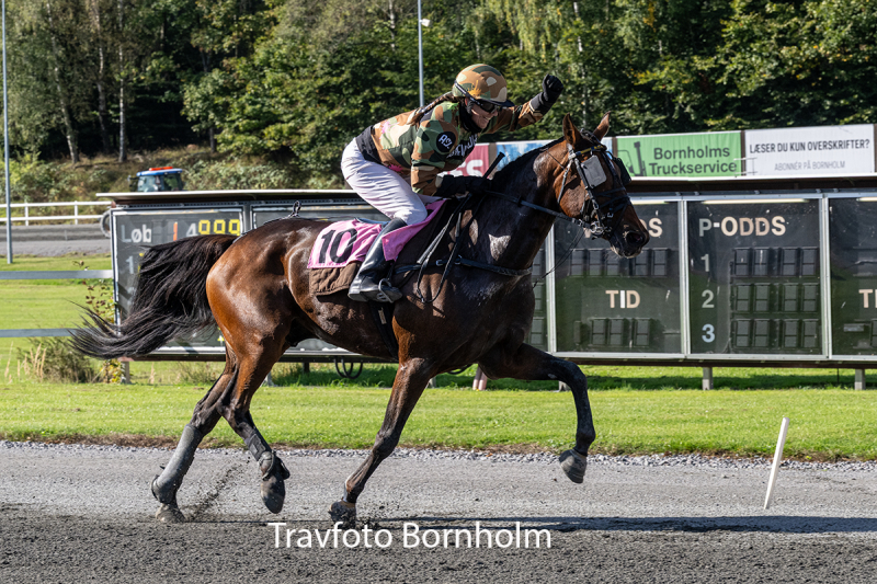 Bonny Boy med Annika Schou lund 3 oktober 2026 Fotograf Torben Ager Travfoto Bornholm TKA 4859