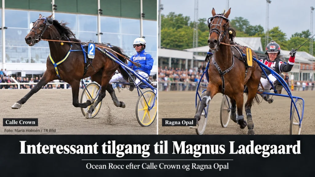 Calle Crown og Ragna Opal i fokus 1280x720 1