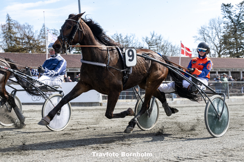 Galina D med Tabea Munk 19 april 2026 Fotograf Torben Ager Travfoto Bornholm TKA 9940