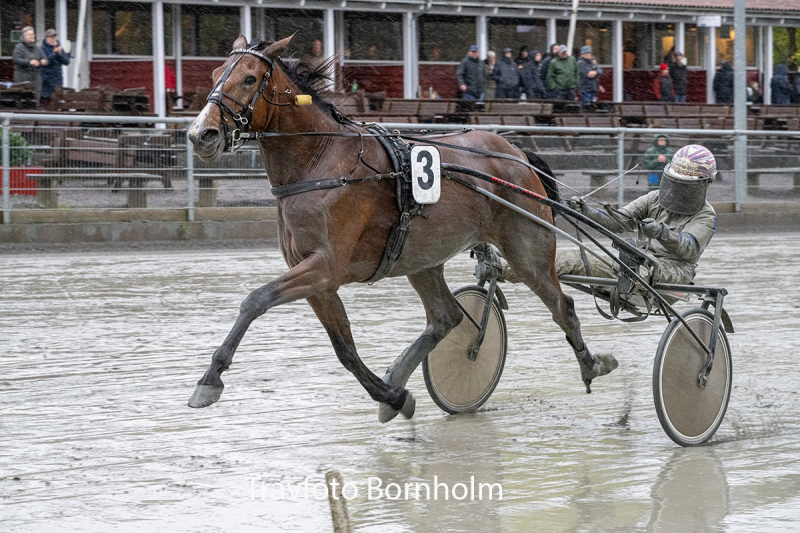 Hejdi Hovmand med Niclas Steinlain 17 oktober 2026 Fotograf Torben Ager Travfoto Bornholm TKA 6139
