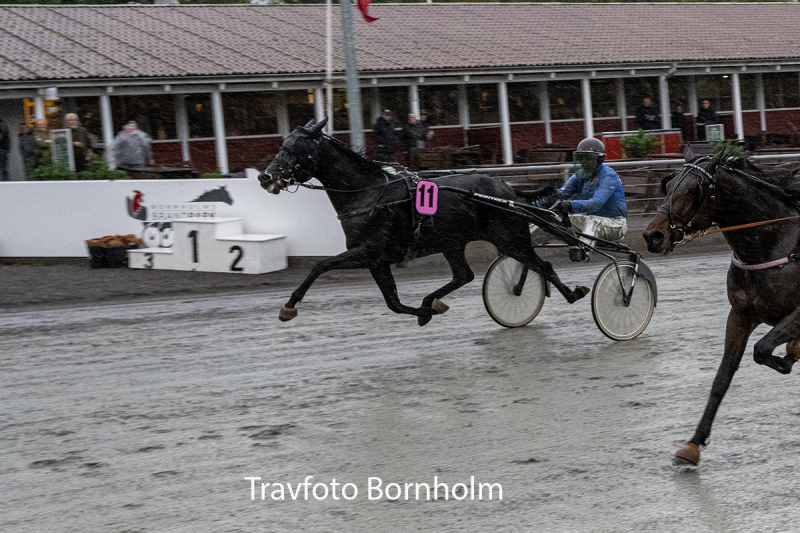 KiWI H med Kim Hjort 17 oktober 2026 Fotograf Torben Ager Travfoto Bornholm TKA 6489